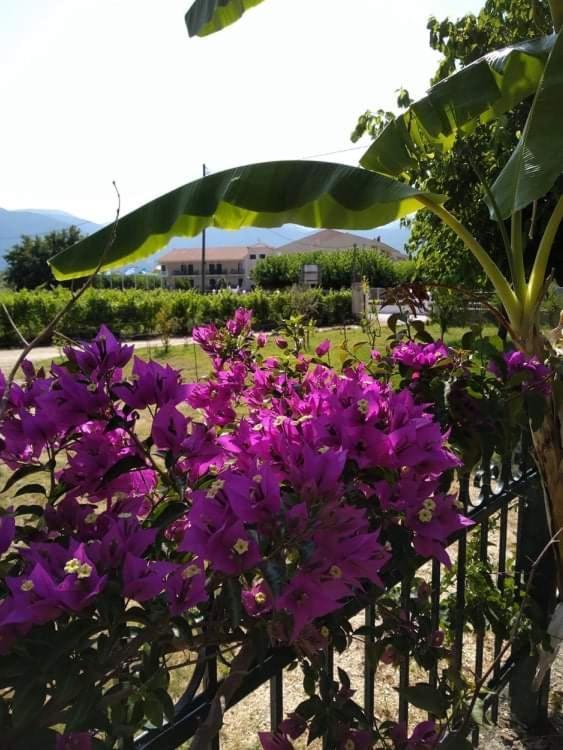 Rosegarden Villa Számi Kültér fotó