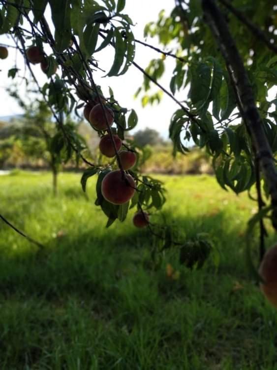 Rosegarden Villa Számi Kültér fotó