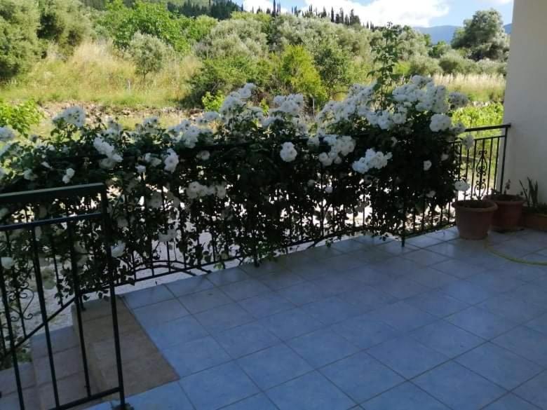Rosegarden Villa Számi Kültér fotó