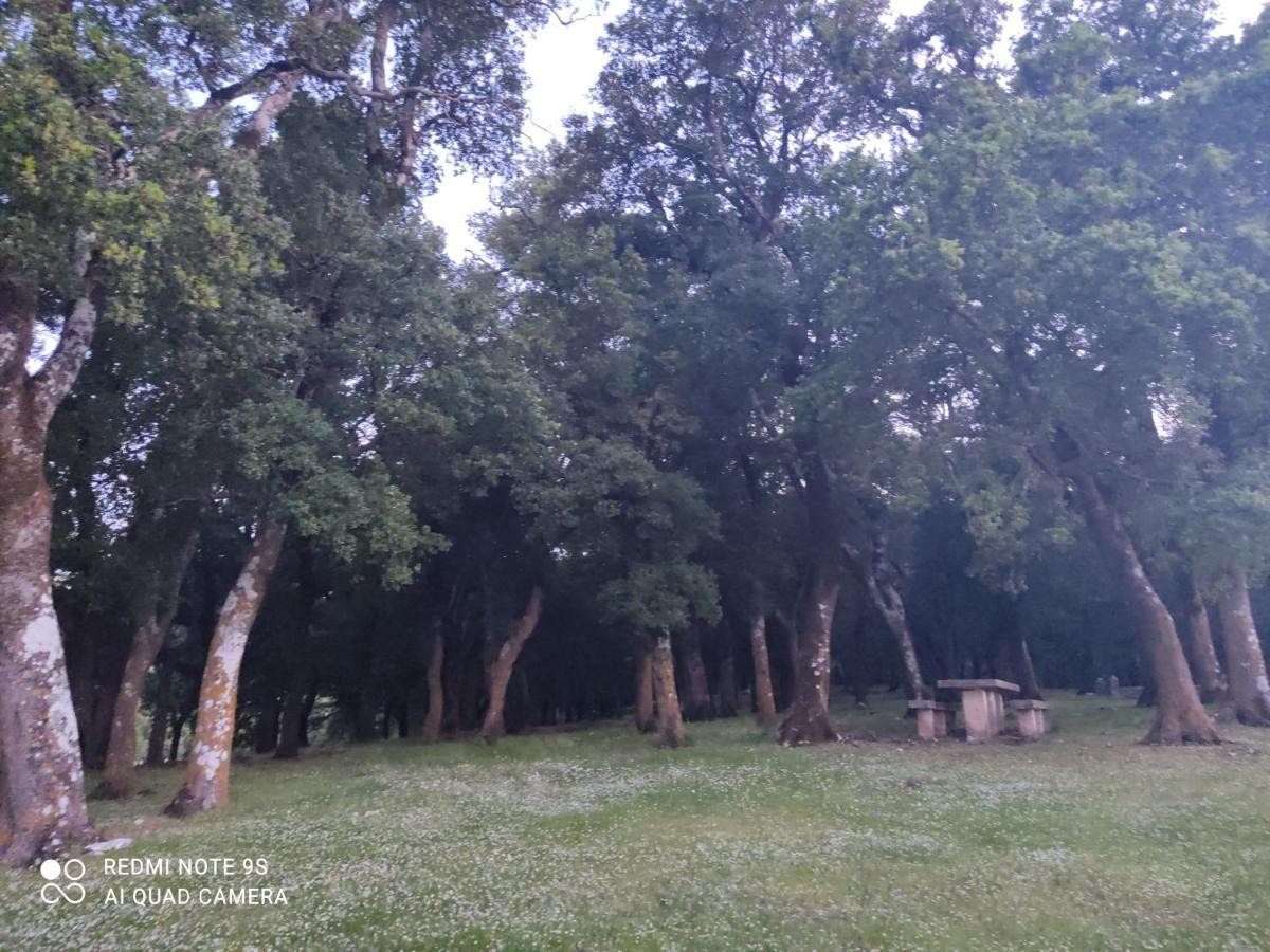 Rosegarden Villa Számi Kültér fotó