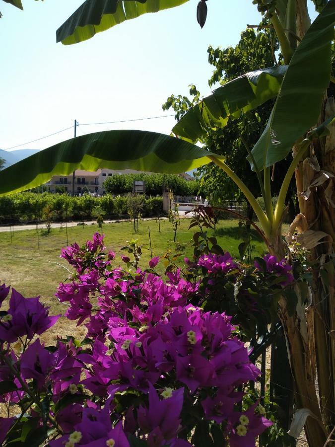 Rosegarden Villa Számi Kültér fotó